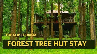 Deep Forest Stay Reserve Topslip Wild Life  Forest Stay In Tree Top Anamalai Tiger Reserve [upl. by Inobe]