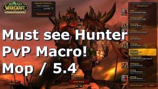 54 Hunter Macro Guide  PvP  MoP  Arena  Rbg [upl. by Bette-Ann227]