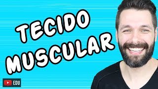 TECIDO MUSCULAR  HISTOLOGIA  Biologia com Samuel Cunha [upl. by Celestyna]