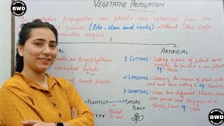 VEGETATIVE PROPAGATION CLASS 10 [upl. by Barb153]