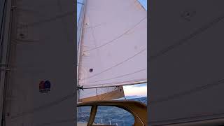 Contessa 26 sailing singlehandedsailing sailboat Slattingsails [upl. by Ecinnej]