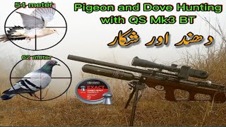 Dove and Pigeon Hunting in Pakistan with PCP QS airgun2024 [upl. by Mignonne887]