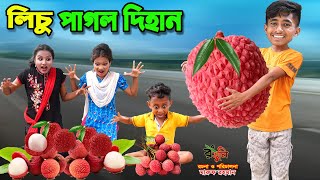 লিচু পাগল দিহান  lichu pagol dihan  bengali fairy tales  dihan  bihar [upl. by Adihaj615]