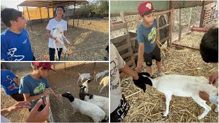 ASÍ LA PASAMOS UNA TARDE DIVERTIDA 🤣 EN EL RANCHO 🐑 CON LOS SOÑADORES 🚀ponchuelas arce [upl. by Swehttam]