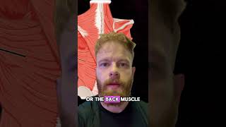 What muscles work during kipping vs strict pull ups [upl. by Coppins567]