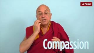 Le bouddhisme selon Matthieu Ricard 4  lessence du bouddhisme [upl. by Franz507]