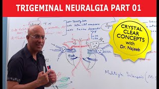 Trigeminal Neuralgia  Causes and Treatment  Part 1 [upl. by Nonnel]