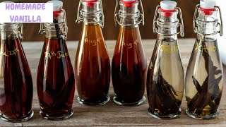 HOMEMADE VANILLA EXTRACT  How To Make Vanilla Extract  2 ingredients [upl. by Oilenroc507]