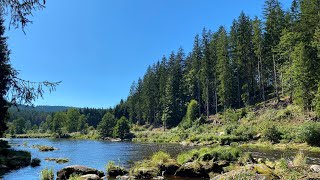 Bayerisch Kanada 🇨🇦 Traumwanderung am Schwarzen Regen  BAYERISCHER WALD [upl. by Eyanaj]