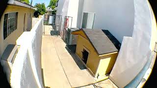 German Shepherd stops burglary by convicted criminal in Los Angeles [upl. by Amiel331]