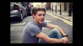 Girlfriend Niall Horan Video [upl. by Eizzo]