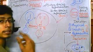 Origin of species Sympatric speciation evolution part 8 speciation 4 [upl. by Sheelah16]