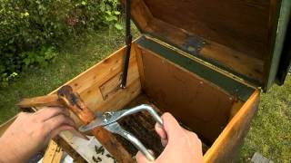 Extreme Bee Keeping Formic Acid Hive 2 [upl. by Audun122]