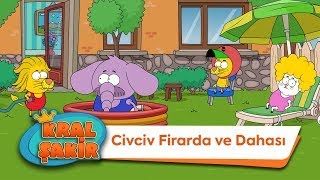 Civciv Firarda ve Dahası KralSakirResmi [upl. by Kcirddot]