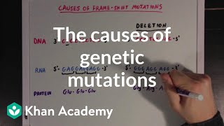 Summary of Gene Mutations [upl. by Montagna362]