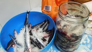 como hacer anchoas en salazon caseras [upl. by Alvin]