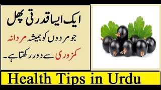 Benefits of Black Currants for Health in Urdu [upl. by Genvieve]