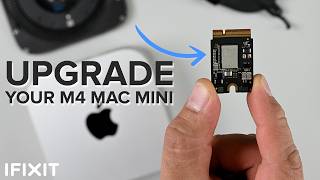 M4 Mac mini Teardown  UPGRADABLE Storage Powerful and TINY [upl. by Melita]