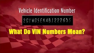 What Do VIN Numbers Mean  Wrenchin Up [upl. by Nirrat]