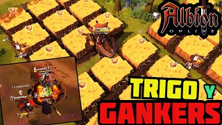 Gankers en Transporte de Corazones  Plantación de Trigo  Albion Online [upl. by Efron]