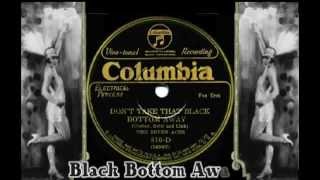 Dont Take That Black Bottom Away 1926 Hot Seven Aces [upl. by Eelano]