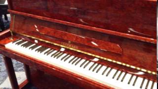 Brodmann PE124V Upright Piano [upl. by Boris]