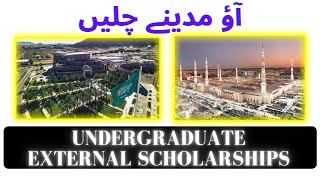 How to apply at Taibah University for External Scholarship Bachelors Degree Programs [upl. by Wesa61]