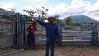 Stockmanship Tips from Boyd Holden [upl. by Adilem419]