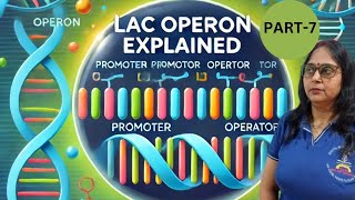 Molecular Basis of Inheritance lac operon model II class 12th Biology II NEET II CBSE II CUET [upl. by Ttenneb]