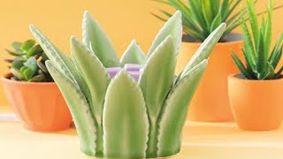 Scentsy Aloe Vera Warmer [upl. by Perlis]