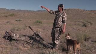 Coyote Hunting  Nevada Trip with FIVE COYOTES taking Dirt NAPS  Coyote Assassins Episode 37 [upl. by Aduhey342]