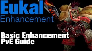 Vanilla Basic PvE Enhancement Shaman Guide [upl. by Nahtnanhoj120]