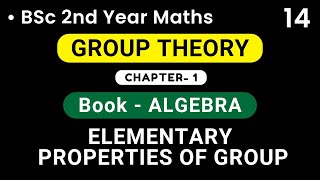 Elementary Properties of Groups  Group Theory  Bsc 2nd Year [upl. by Nednal]