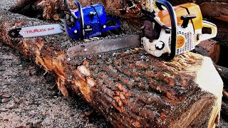 Holzfforma G366 and Stihl MS 361  very light 60cc class chainsaws working [upl. by Hercule]