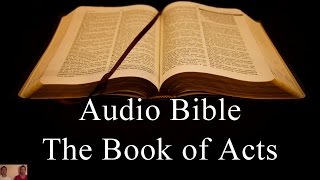 The Book of Acts  NIV Audio Holy Bible  High Quality and Best Speed  Book 44 [upl. by Erotavlas]