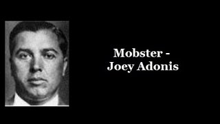 Mobster  Joey Adonis [upl. by Hnao]