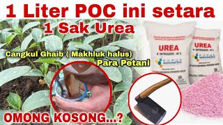 1 LITER POC INI SETARA 1 SAK UREA [upl. by Bondie]