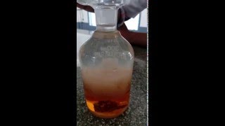 Dissolved Oxygen By Winklers Method  2016 [upl. by Isia]