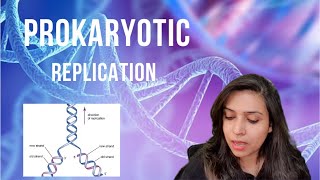 Prokaryotic Replication  leading amp lagging strands Okazaki fragments CSIR  PART 1 of the series [upl. by Childers526]