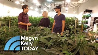 How Legalized Marijuana Is Changing One California Town  Megyn Kelly TODAY [upl. by Fenelia]