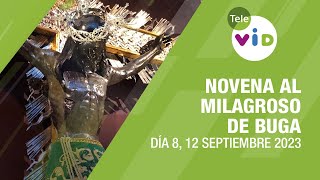 Novena al Milagroso de Buga Día 8 🙏 12 de Septiembre 2023 TeleVID MilagrosoDeBuga [upl. by Mit]