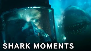 Scariest Shark Moments in The Black Demon 2023  Paramount Movies [upl. by Alyel]