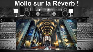 Mollo sur la reverb  5 conseils [upl. by Hemminger]