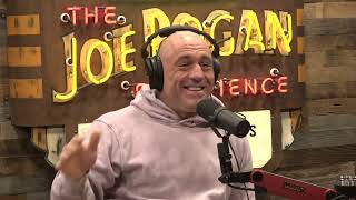 Joe Rogan Experience 2078  Duncan Trussell [upl. by Eniaj485]