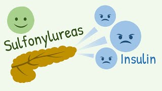Mechanism of Action of Sulfonylureas and Meglitinide Analogs [upl. by Garris152]