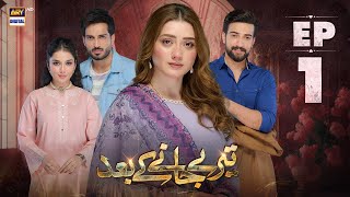 Teray Janay Kay Baad Episode 1  30 July 2024 English Subtitles  ARY Digital Drama [upl. by Marden434]