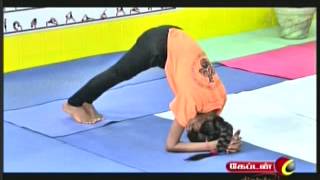 Dr Lakshmi Andiappans Yoga Therapy Program for Various Ailments 16 05 2013 [upl. by Nealy289]