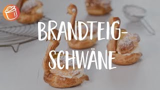 BrandteigSchwäne Rezept Chochdoch mit Oli [upl. by Hannibal]