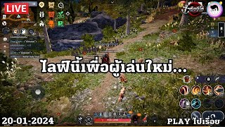 ไลฟ์นี้สำหรับผู้เล่นใหม่ bdm blackdesertmobile [upl. by Macgregor]