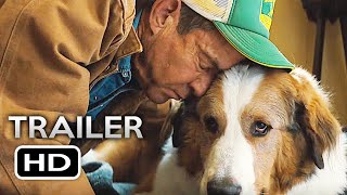 A DOGS PURPOSE l OLD FRIENDS l IN CINEMAS 23 FEBRUARY [upl. by Jenkins]